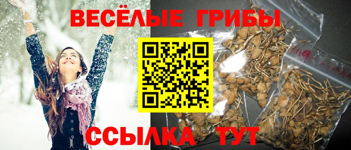 купить наркоту  Галлюциногенные грибы Magic Shrooms  Вход с VPN  Чусовой 
